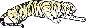 Lying tiger