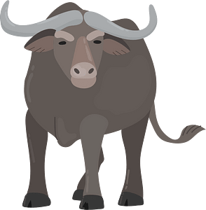 Water buffalo - Free vector clipart images on creazilla.com