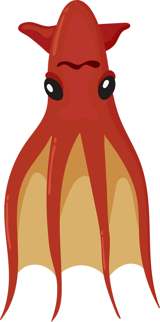 Vampire squid
