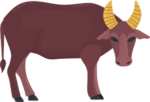 Tamaraw