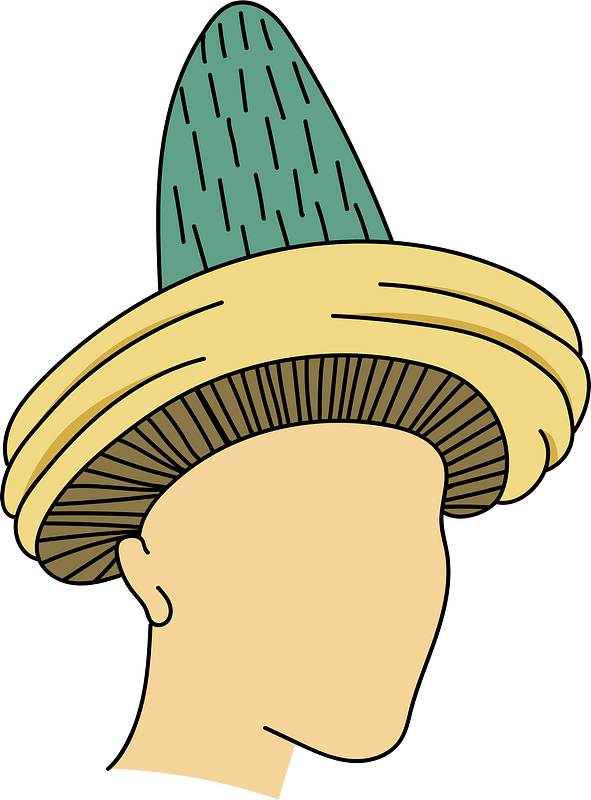 Dancer's coiffure. Yellow with green sugar-loaf crown
