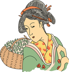 Japanese young woman's head. No hat. The knot of hair at the back of the head is fixed with long pins. A red ribbon maintains the hair above the forehead