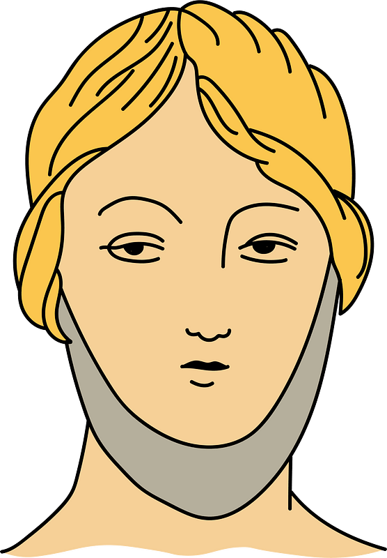 Roman headdress shewing the Focalia. A kind of band which the Roman ladies wore round the neck for the sake of warmth