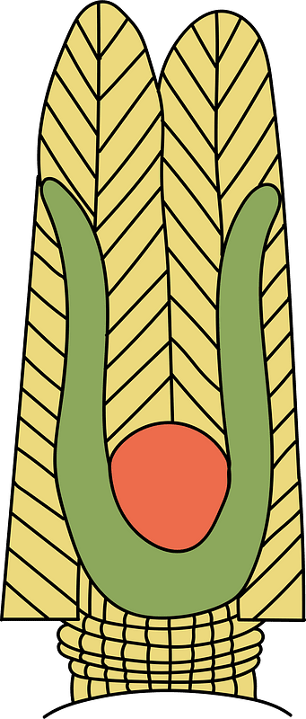 Ancient Egyptian Coiffure of Kombumbos. Surmounted with a long ornamentation of ostrrich feather in the shape of a pyramid.