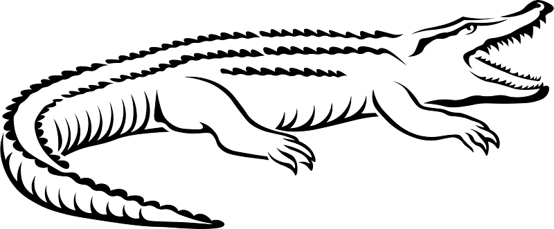 Alligator - Free vector clipart images on creazilla.com