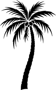 Coconut Tree