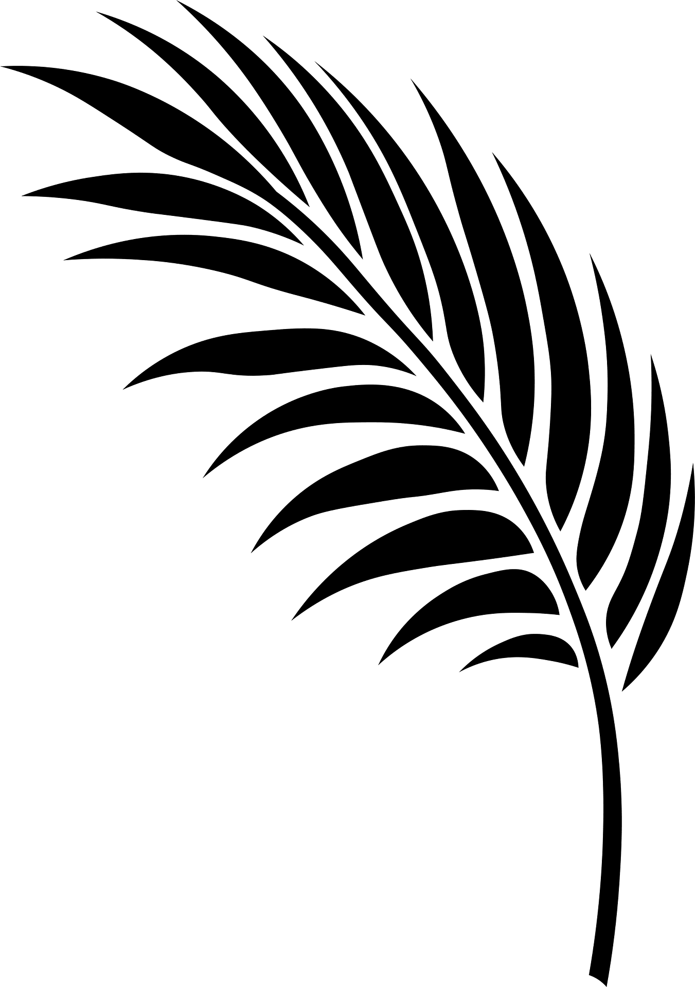 Palm Frond on sale