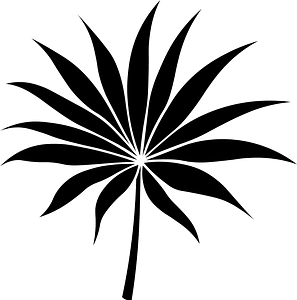 Tropical Leaf