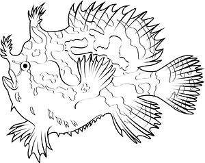 Sargassum fish (Histrio histrio)
