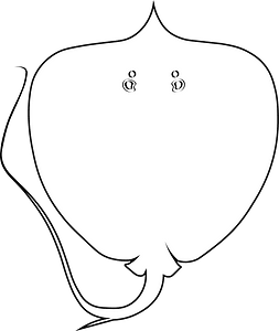 Giant freshwater stingray (Urogymnus polylepis)