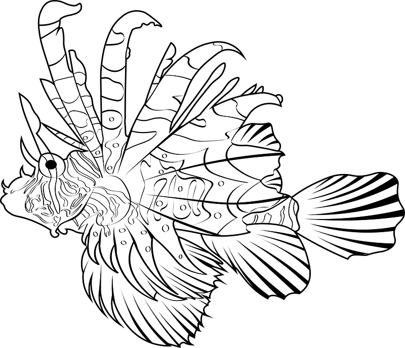 Devil firefish (Pterois miles)