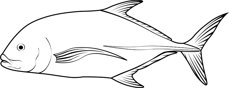 Bluefin trevally (Caranx melampygus)