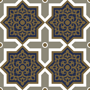 House called Beyt el-Tchelebey specimen of the ceilings (18th century)