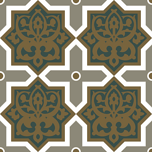 House called Beyt el-Tchelebey specimen of the ceilings (18th century)