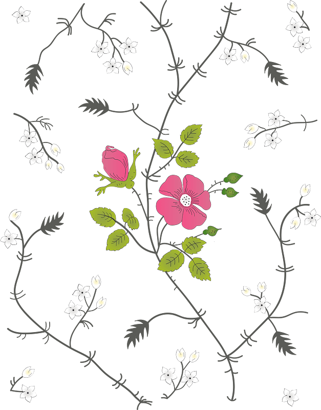 Two pink wild roses