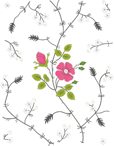 Two pink wild roses