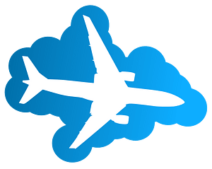 Plane in the sky