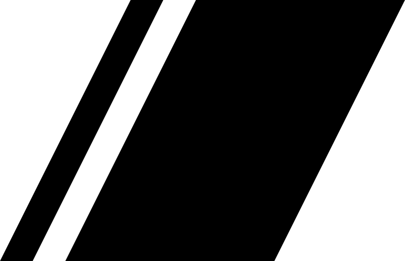 Sea Shepherd racing stripe