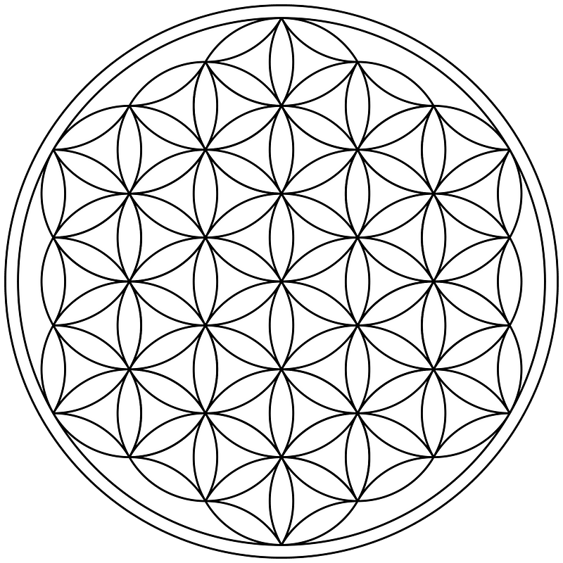 Most common form of the %22Flower of Life%22 hexagonal pattern made up of 19 complete circles and 36 partial circular arcs
