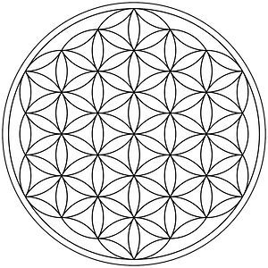 Most common form of the %22Flower of Life%22 hexagonal pattern made up of 19 complete circles and 36 partial circular arcs