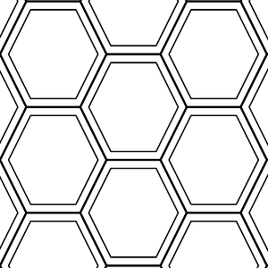 Reference image of the child tortoiseshell