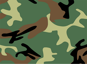 Pla camo