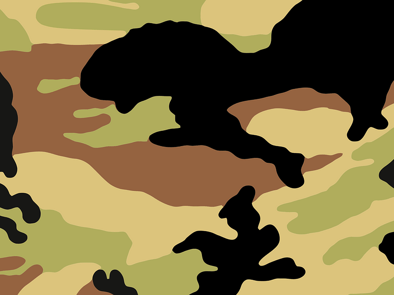 Camouflage fashion on textile - used for uniforms