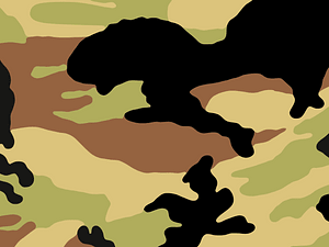 Camouflage fashion on textile - used for uniforms