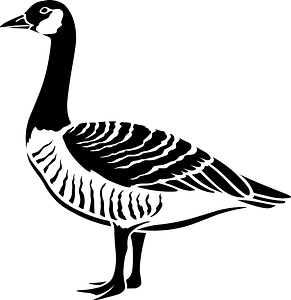 Canada Goose