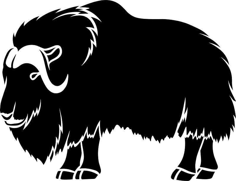Ox