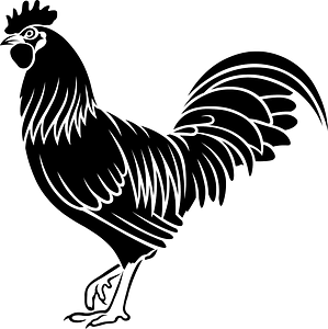 Cockerel