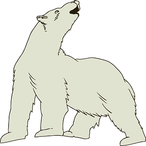 Howling polar bear