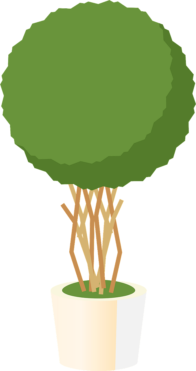 Benjamin fig