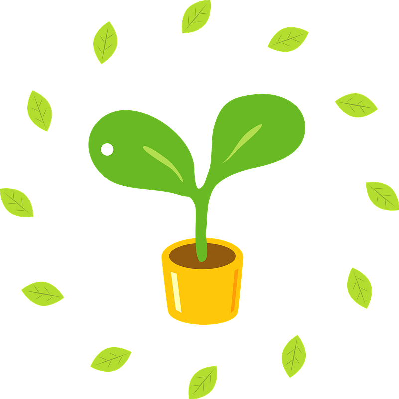 Ecology sprout leaves
