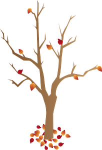 Fallen leaves tree