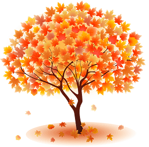 Maple tree autumn leaves