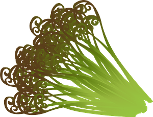 Pteridium aquilinum bracken - eagle fern
