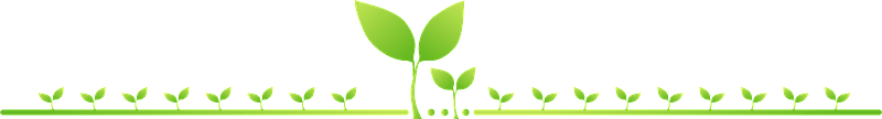 Sprout plant line