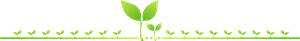 Sprout plant line