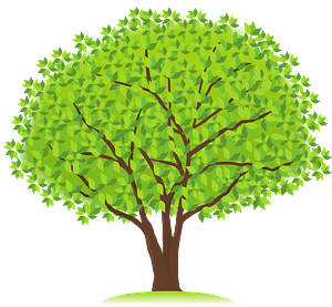 Tree with Green Leaves