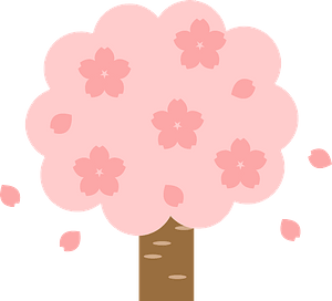 Cherry blossoms tree