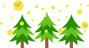 Pine trees under the sun