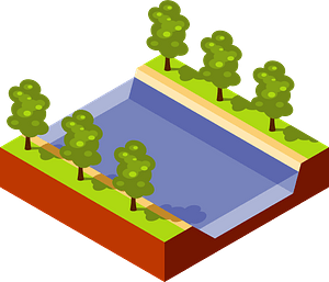 Trees on each bank of the river