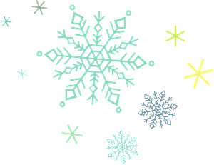 Snowflake snow crystal