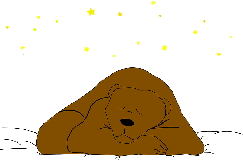 Sleeping bear under the stars