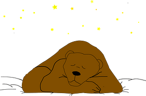 Sleeping bear under the stars