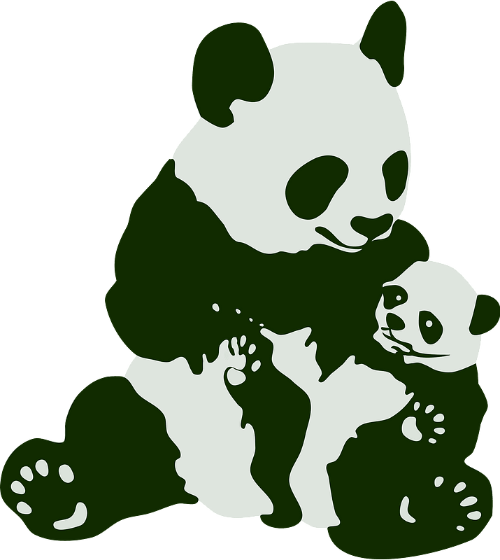 Panda and baby panda