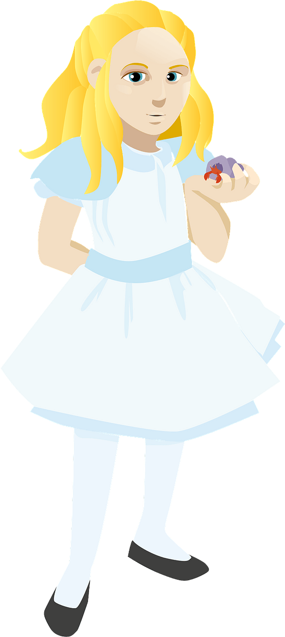 Alice and hermit crab