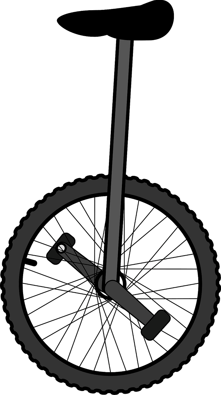 Unicycle