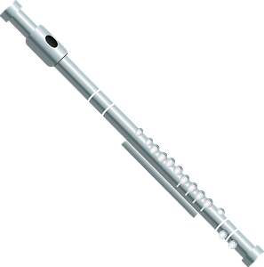 Flute